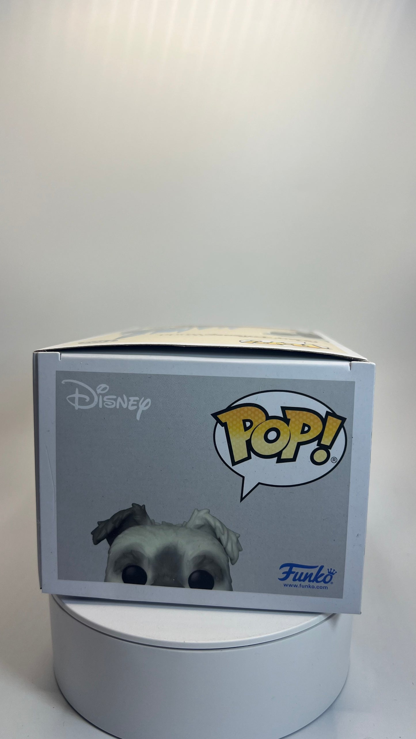 Funko Pop Walt Disney World 50th Anniversary Pirate Of The Caribbean Dog 1105
