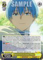 Weiss Schwarz Frieren: Beyond Journey’s End Reason to Go on a Journey, Himmel SFN/S108-E003 RR Near Mint