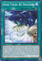 YuGiOh Alliance Insight Here There Be Dragons ALIN-EN061 Common 1st Edition