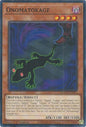 YuGiOh Cards Doom of Dimensions Onomatokage DOOD-EN007 Common