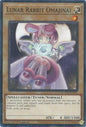 YuGiOh Cards Doom of Dimensions Lunar Rabbit Omajinai DOOD-EN097 Common