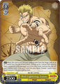 Weiss Schwarz FAIRY TAIL 100 YEARS QUEST Red Lightning, Laxus FT/S120-E005 R Rare Near Mint