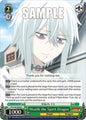 Weiss Schwarz FAIRY TAIL 100 YEARS QUEST Wraith the Spirit Dragon FT/S120-E043 C Common Near Mint