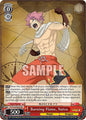 Weiss Schwarz FAIRY TAIL 100 YEARS QUEST Burning Flame, Natsu FT/S120-E052 RR Double Rare Near Mint