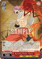Weiss Schwarz FAIRY TAIL 100 YEARS QUEST Burning Flame, Natsu (SR) FT/S120-E052S SR Super Rare Near Mint
