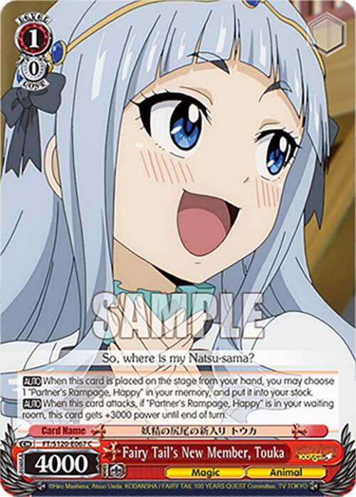 Weiss Schwarz FAIRY TAIL 100 YEARS QUEST Fairy Tail's New Member, Touka FT/S120-E067 C Common Near Mint