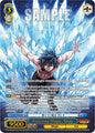 Weiss Schwarz FAIRY TAIL 100 YEARS QUEST Freezing Magic, Gray (SSP) FT/S120-E076SSP SSP Super Special Rare Near Mint