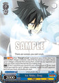 Weiss Schwarz FAIRY TAIL 100 YEARS QUEST Ice Make, Gray (SR) FT/S120-E085S SR Super Rare Near Mint