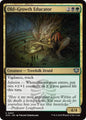 Magic: The Gathering Secrets of Strixhaven Old-Growth Educator 207 U Near Mint (Japanese)
