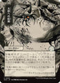 Magic: The Gathering Secrets of Strixhaven: Mystical Archive Feed the Swarm (JP Alternate Art) 94 U Near Mint