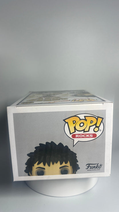 Funko Pop Rocks Green Day Billie Joe Armstrong 234